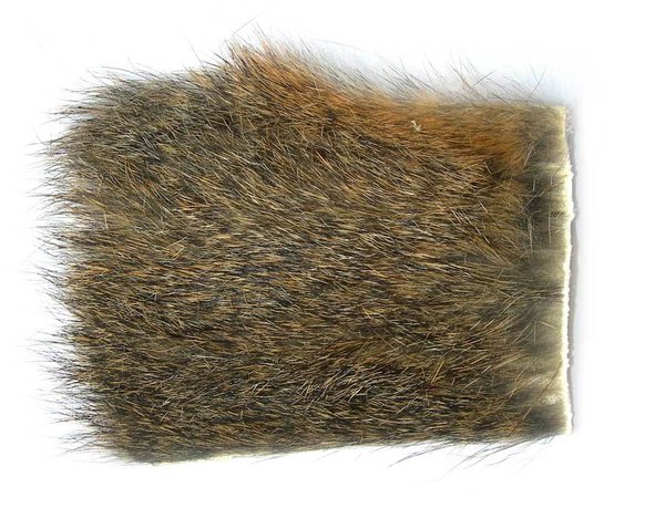 Peau d'écureuil gris naturel
