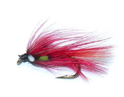 Clan chief cock eyed taille 10