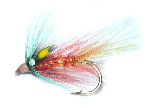 Dunkeld bumble taille 10
