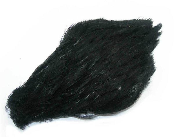 Hackle de selle de coq Indien par Veniard teinté noir