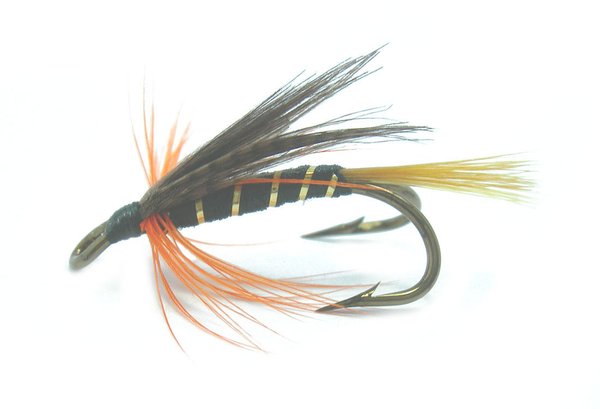 Mouche saumon Thunder and Lightning taille 8
