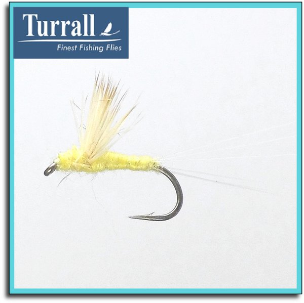 Compara dun jaune par Turrall
